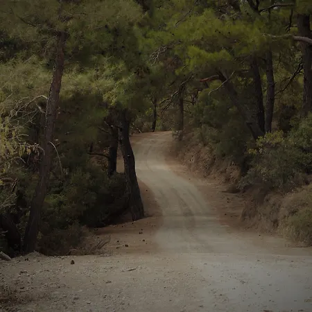 Hotel Goedence Restoran Godence
