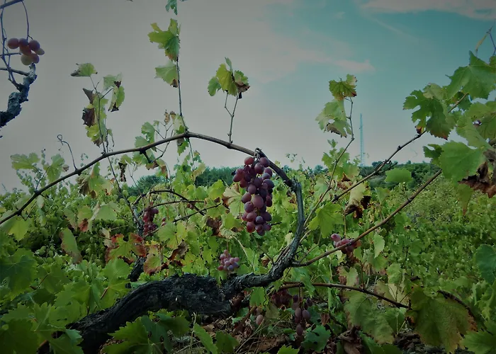 Goedence Restoran Godence