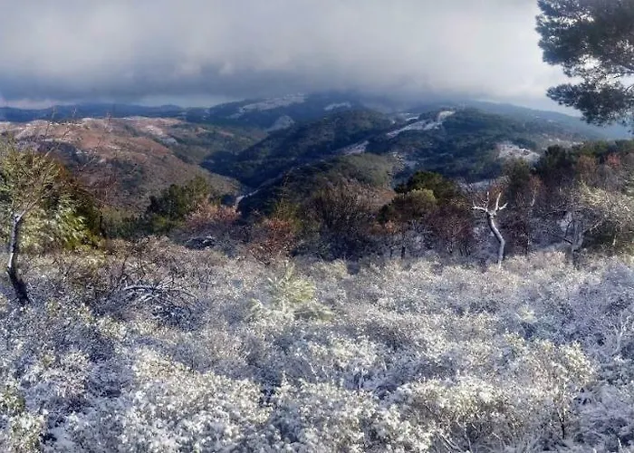 Goedence Restoran Godence