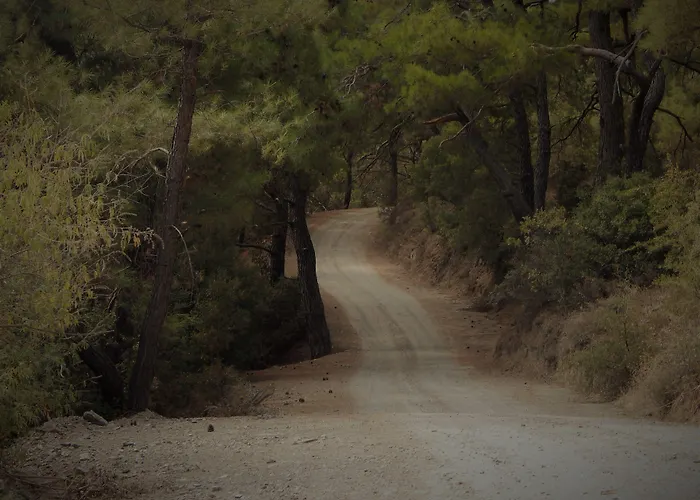 מלון Goedence Restoran Godence